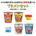 【ポイント3倍】 ブタメン 2種×各15個セット 合計30個 とんこつ カレー しょうゆ タン塩 箱買い 箱 シリーズ カップ麺 ミニ 詰め合わせ 低カロリー ケース 大量 袋詰め セット 大人買い 業務用 お菓子 子供会 夏祭り カップラーメン まとめ買い おやつ 備蓄 防災