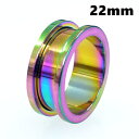 ボディピアス レインボーカラー フレッシュトンネル サージカルステンレス 【22mm】(/ボディーピアス)(4)