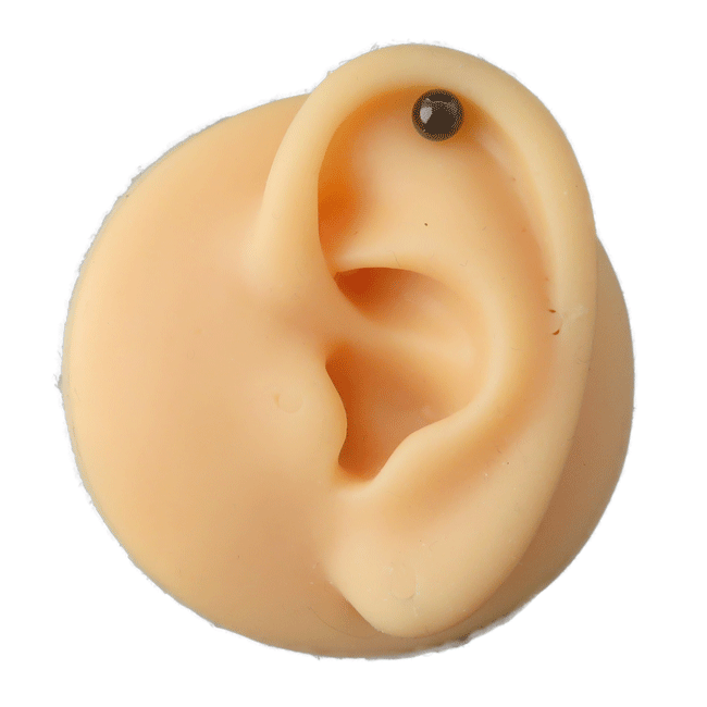 ボディピアス ストレートバーベル 14G 1.6mm ブラック サージカルステンレス