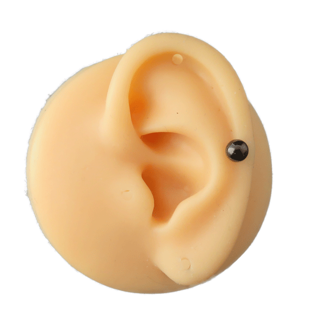 ボディピアス ストレートバーベル 14G 1.6mm ブラック サージカルステンレス