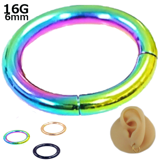 ボディピアス セグメントリング チタン 16G 内径約12mm チタン製 軟骨ピアス ボディーピアス ボディピアス セグメントリング チタン 16G 内径約12mm チタン製 軟骨ピアス ボディーピアス