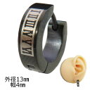 【楽天スーパーSALE 50%OFF】フープピアス リングピアス 外径13mm 幅4mm ブラックボディー ステンレスピアス 片耳ピアス カービング ローマ数字