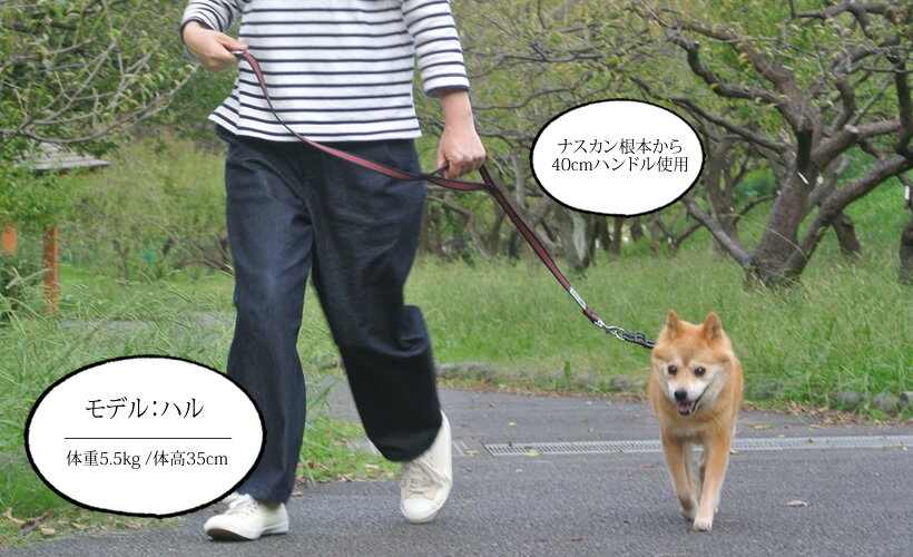 <150cm>BLCハンドル付きラバーリードの紹介画像3