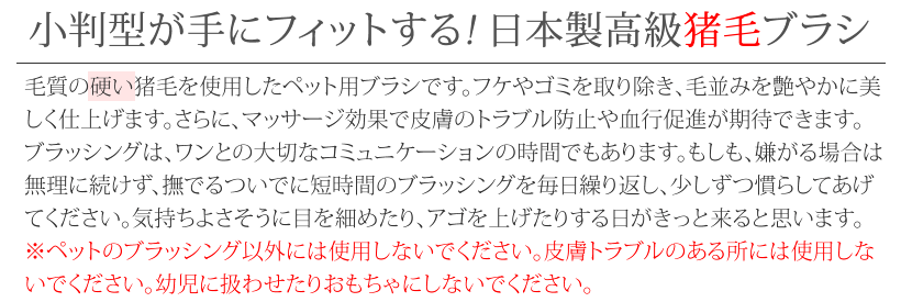 【正規品】高級猪毛ブラシ（中）