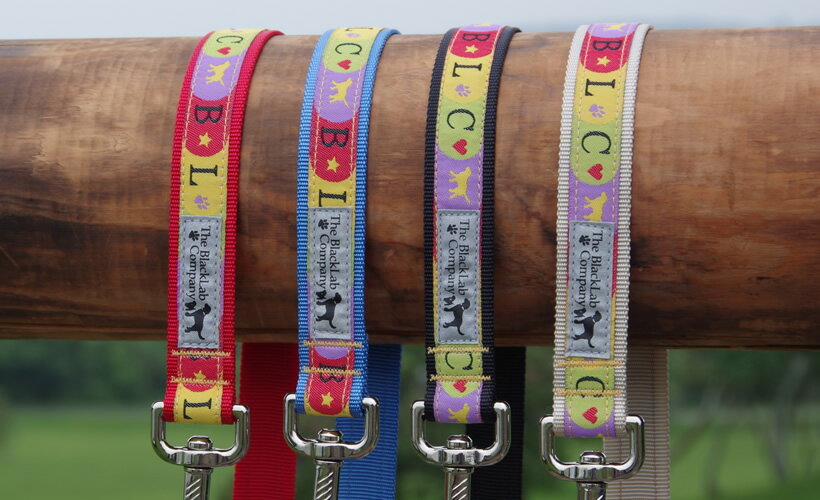 BLCリード ＜Lサイズ・MLサイズ共通＞ BLCファン