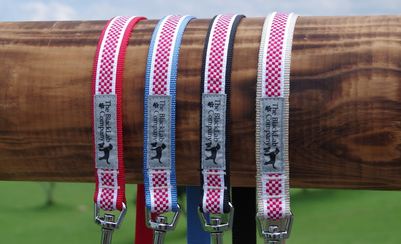 BLCリード ＜Mサイズ・Sサイズ共通＞ レッドチェス