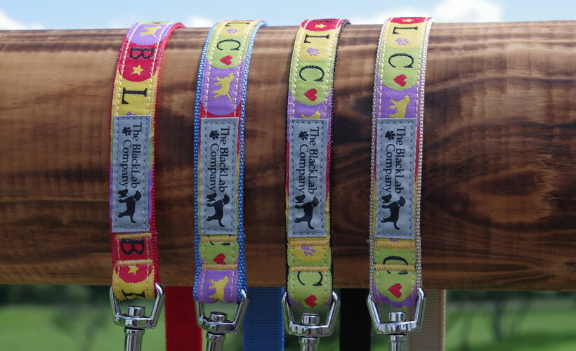 BLCリード ＜Mサイズ・Sサイズ共通＞ BLCファン