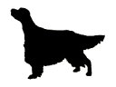 <アイリッシュセッター>ハーフムーンショルダー
