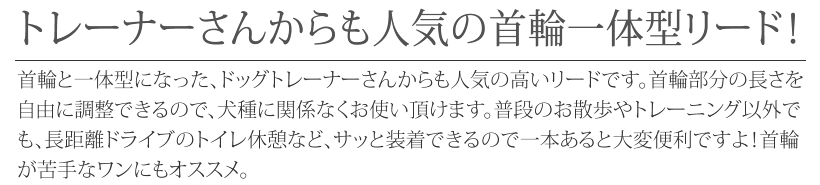 ＜6mm/140cm＞小型犬用スリップリード