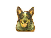 ＜オーストラリアンキャトルドッグ＞オデルピンバッヂ