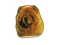 ＜チャウチャウ＞オデルピンバッヂ