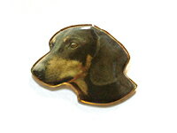 ＜ダックススムース＞オデルピンバッヂ