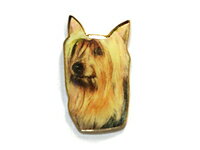 ＜シルキーテリア＞オデルピンバッヂ