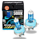 IPF ヘッドライト フォグランプ ハロゲン 車用 H4 5000K 白色 12V用 2本入 車検対応 MGバルブ 蓄光ブルー 消すと光る 魔法