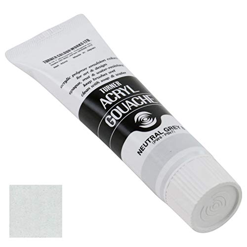 �����ʡ�����(Turner Color) ������륬�å��� �˥塼�ȥ�륰�졼8 AG040002 40(9��)