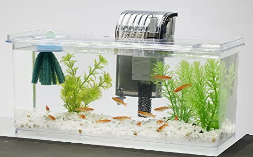 Tetra �ƥȥ� ��������˿���ڤ��ॻ�å� L ���� �������ꥦ�� Ǯ�ӵ� ����� ��� Ʃ��