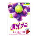 明治 果汁グミぶどう 54g×10袋