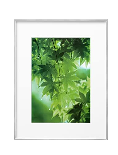 ハクバ HAKUBA 軽量 額縁 ZEROフレーム G-01 A4 シルバー FZG01-A4SV