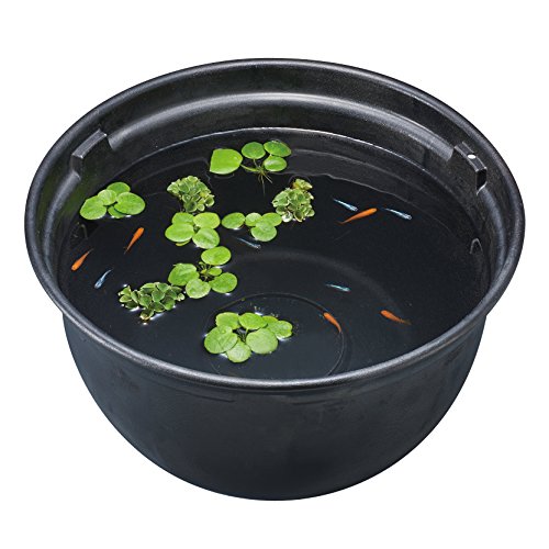 ジェックス GEX メダカ元気 メダカのための飼育鉢 370 約外径37×H20cm 樹脂製 軽量 2つの水抜け穴 黒水..