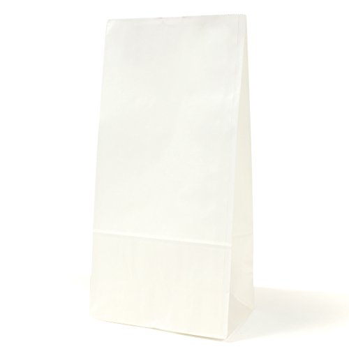 パックタケヤマ 紙袋 マチあり 角底袋 H8 晒 100枚 XZT00423