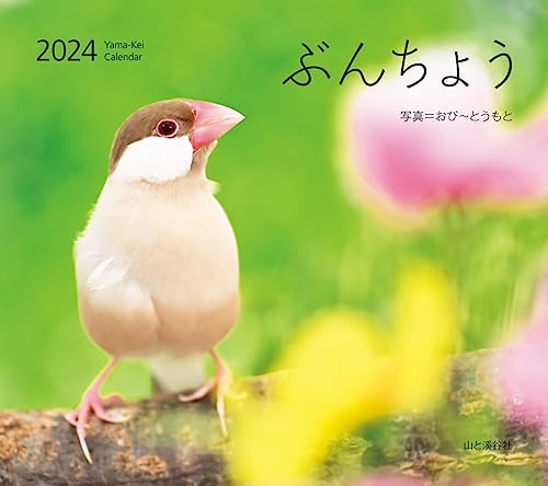 カレンダー2024 ぶんちょう（月めくり/壁掛け） (ヤマケイカレンダー2024)