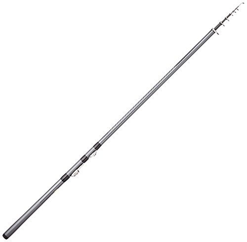 SHIMANO - シマノ(SHIMANO) 磯竿 17 ホリデー磯 3号 300 サビキ釣り
