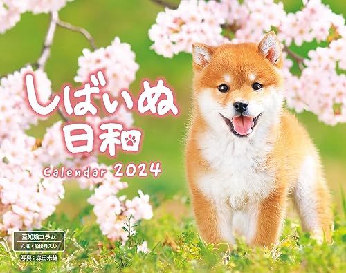 カレンダー/-/-・カレンダー写真家・森田米雄氏による大人気柴犬カレンダー。 愛嬌たっぷり元気いっぱいの柴犬が、大判サイズで楽しめるカレンダーです。 表情豊かな小さな柴犬たちのベストショットを集めました。 カレンダー部分も可愛らしいデザイン...