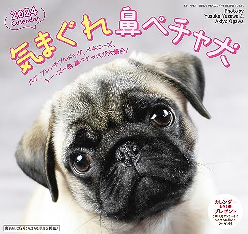 2024 カレンダー 気まぐれ 鼻ペチャ犬 カレンダー 犬 （壁掛け／月めくり）6週表示 ([カレンダー])