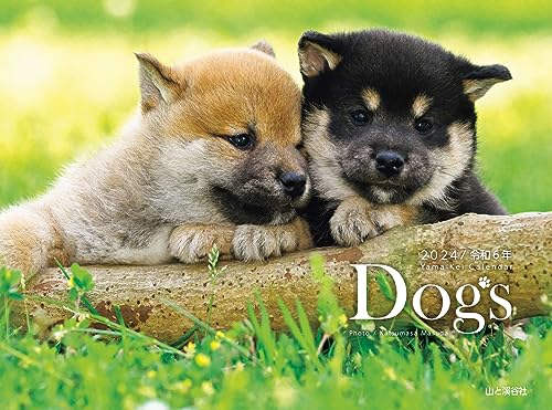 カレンダー2024 Dogs（月めくり/壁掛け） (ヤマケイカレンダー2024)