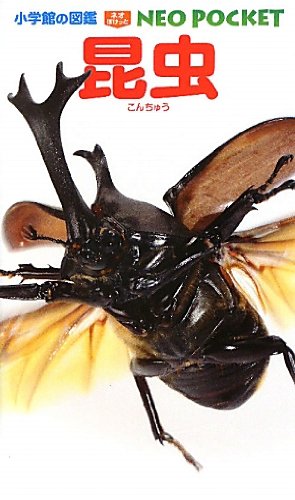 ���� (���شۤο޴� NEO�ݥ��å�)