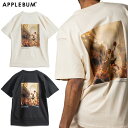 Abvo TVc APPLEBUM RENAISSANCE BALLER T-SHIRT Y fB[X TVc eB[Vc uh   lC 傫 TCY Ki jZbNX bNX Xg[g oXP X|[c I[V[Y  2411118