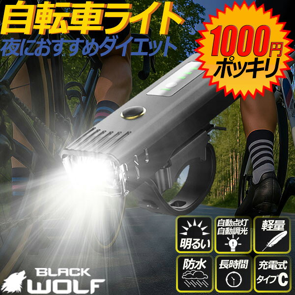 ž֥饤LEDɿUSBž֥饤ȥޡȥ󥵡ż250롼뤤Ƕ줫äޥƥХХɥХBIKE99BLACKWOLF֥å