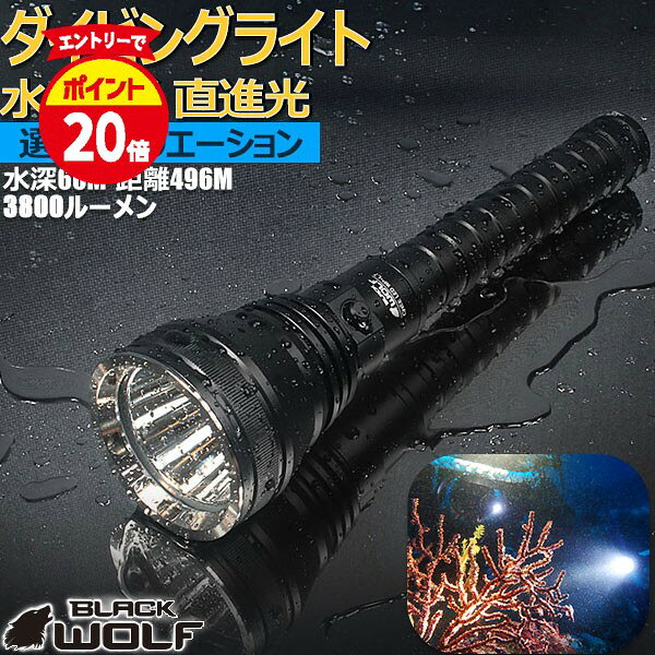 【6/1(月)ワンダフルデーP20倍♪10時迄】LED ダイビング ライト 水中ライトハンディライト 完全防水 IPX8 水深60M 直進光 抜群 強力 最強 日本製 21700リチウムイオン電池 ダイバー シュノーケリング ハンティング 水中撮影 防災 WP-L7