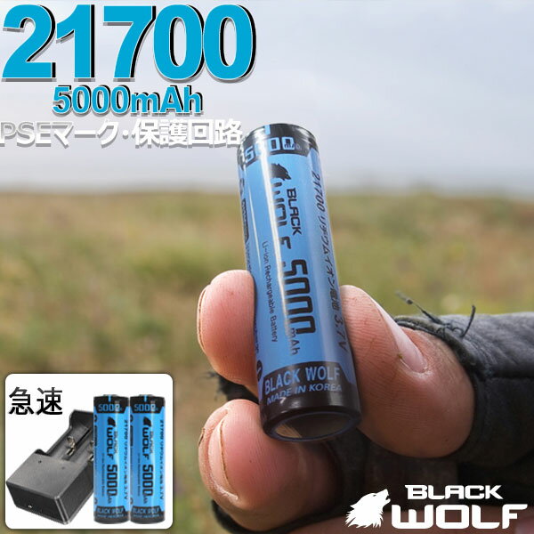 ＼100円OFFクーポン 22(水)9:59迄／ 21700充電器セット 21700リチウムイオン電池 2本(ウルトラ大容量) 急速充電器 サムスンSAMSUNG SDIセル 5000mAh 21700 18650 マルチ 5V2A USBケーブル アダプター 2A B Cタイプ 2600QC BLACKWOLF ブラックウルフ