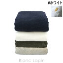 イケウチオーガニック IKEUCHI ORGANIC オーガニック330 シャワータオル #ホワイト [426323]