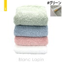 〔2点以上お買い上げで3%OFFクーポン配布中〕イケウチオーガニック IKEUCHI ORGANIC オーガニックエアーホイップ バスタオル #グリーン [43...