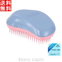 kő400~OFFN[|zzl^OeB[U[ TANGLE TEEZER UEIWi \tg&_[W pE_[u[ [765513]