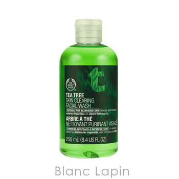 ザ・ボディショップ THE BODY SHOP スキンクリアリングフェイシャルウォッシュTT 250ml [109196/521080]