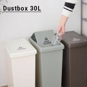 ゴミ箱 屋外 分別 30リットル ダストボックス 30L おしゃれ スリム キッチン ふた付き キャスター付き ペール 屋内 大容量 カウンター キッチンカウン...