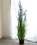 Fiorira un Giardino インテリアグリーン・カンパニュラ/ 人工観葉植物 フェイクグリーン インテリア グリーン 観葉植物 オブジェ 造花