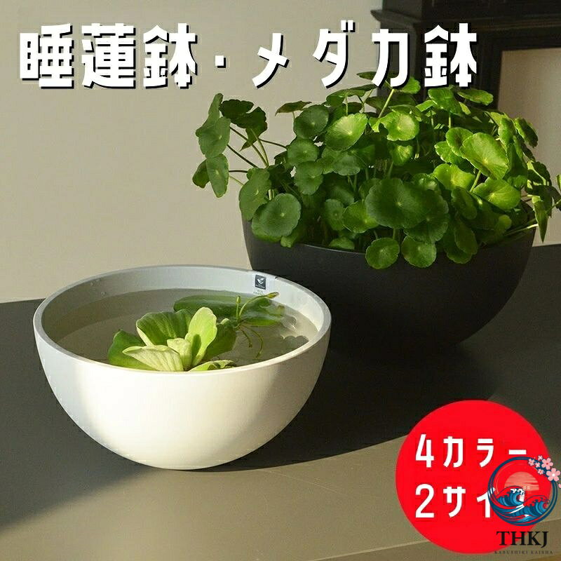 睡蓮鉢メダカ鉢金魚鉢スイレン鉢軽量...