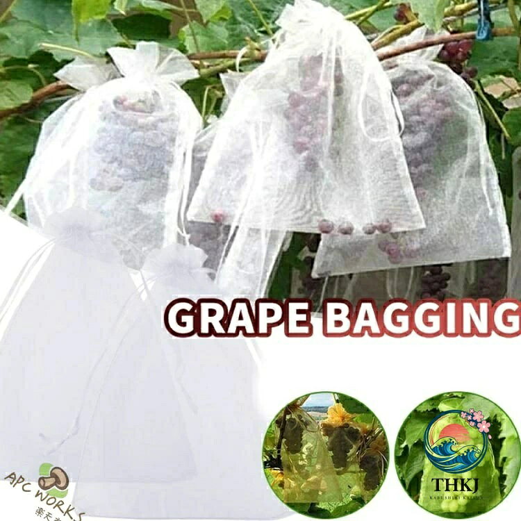 【全品2点で5%OFF】防虫防鳥果実保護袋 果樹植物用メッシュ掛け保護資材