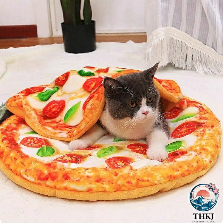 【全品2点で5%OFF】洗えるふわふわ M サイズペットマットクッション 小中型犬猫共...