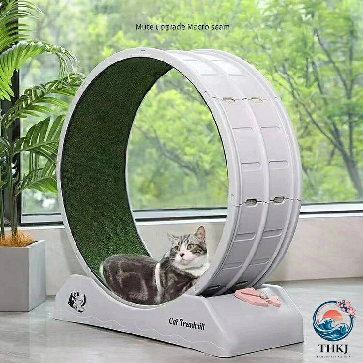ブランシュストアのキャットホイール 猫 回し車 ロック装置内蔵 静音低ノイズ 猫専用ルームランナー 猫 ランニングホイール キャットウォーク 運動不足解消｜アングル2