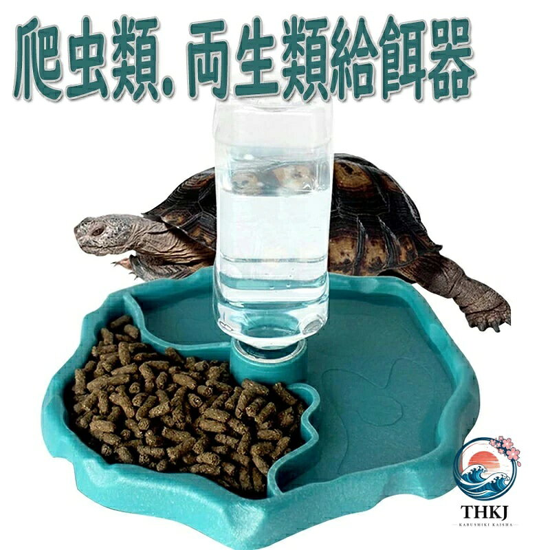 爬虫類 自動給水装置給水器 両生類飼育水入れ餌入れ エサ入れ エサ皿自動給水 水皿 トカゲ カメ 蛇 ヤモリ 亀 カメレオン エサ皿 フィーダー 両生類水飲み皿 水槽の飾り 簡単 トカゲ クモ カメ 餌やり