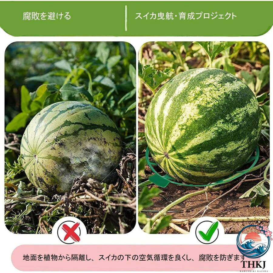ブランシュストアの【全品2点で5%OFF】スイカマット スイカマット 10/20/30 個入り 園芸フレーム スイカサポート スイカマット イチゴサポート 耐久性 環境保護 再利用可能 栽｜アングル2