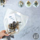 ドライ フラワー ミニ スワッグ 母の日 花束 メール便 送料無料 ユーカリ かすみ草 お祝い お誕生日 出産祝い 結婚祝い 新築祝い ギフト インテリア ナチ...