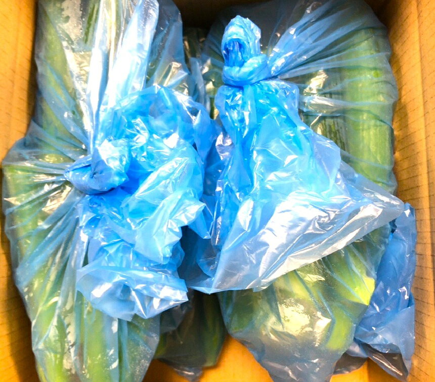 BlancOne 楽天市場店の【送料無料】訳あり 青ねぎ　約1kg　人気のしゃぶしゃぶ屋 や パン屋で使用　【訳あり 青ねぎ 約250g×4袋：常温】｜アングル3