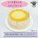 ケーキ（1000円程度） ホールケーキ スポンジケーキ 誕生日ケーキ 当日 ギフト 即日 配達 宅配 パティシエ 子供 こども プレゼント バースデーケーキ 祝い お返し 洋菓子 スイーツ おしゃれ 面白い 楽しむ 手作りケーキ レインボー 推し活 映え 母の日 手作り