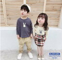 キッズ 送料無料 ロンT 長袖Tシャツキッズ 長袖tシャツ子供服 うさぎプリント 男の子 女の子 春 夏 秋 韓国子供服 トップス ふんわりTシャツ 長Tシャツ ビックシルエット ビックサイズ キッズ カジュアル かわいい 90 100 110 120 130 